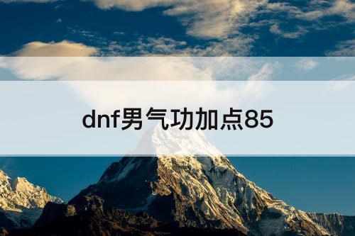 dnf男气功加点85