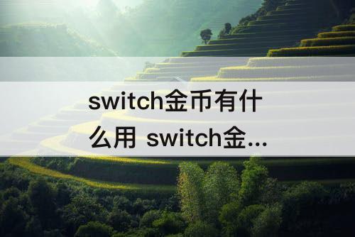 switch金币有什么用 switch金币有什么用日服