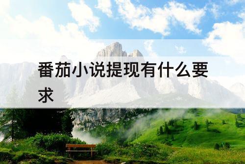 番茄小说提现有什么要求