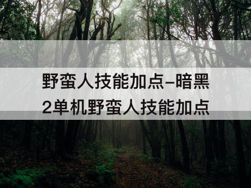 野蛮人技能加点-暗黑2单机野蛮人技能加点