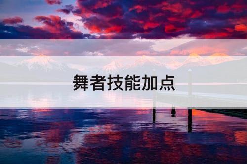 舞者技能加点