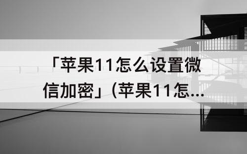「苹果11怎么设置微信加密」(苹果11怎么设置微信加密为什么不好使了)