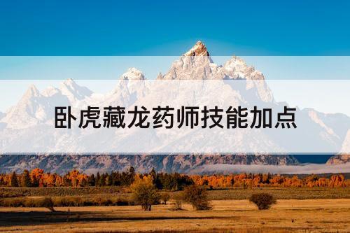 卧虎藏龙药师技能加点