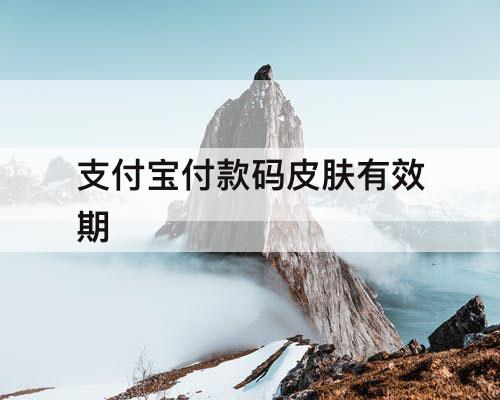 支付宝付款码皮肤有效期