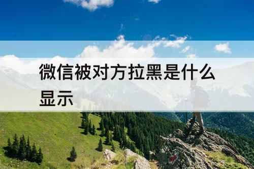 微信被对方拉黑是什么显示