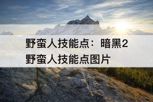 野蛮人技能点：暗黑2野蛮人技能点图片
