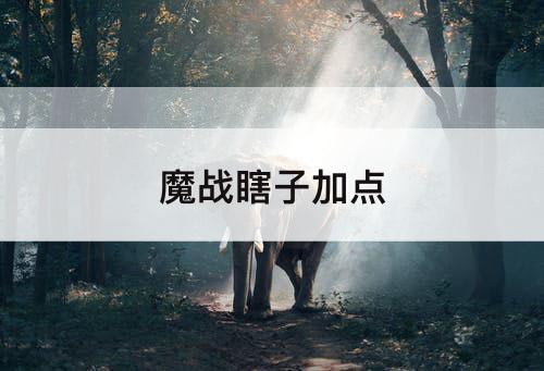 魔战瞎子加点