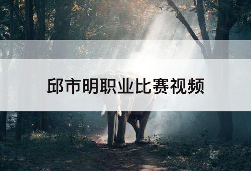 邱市明职业比赛视频