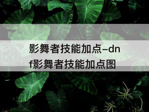 影舞者技能加点-dnf影舞者技能加点图