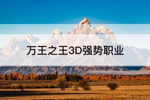 万王之王3D强势职业