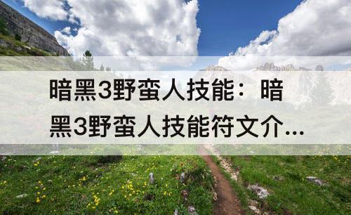 暗黑3野蛮人技能：暗黑3野蛮人技能符文介绍