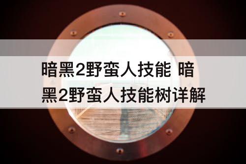 暗黑2野蛮人技能 暗黑2野蛮人技能树详解