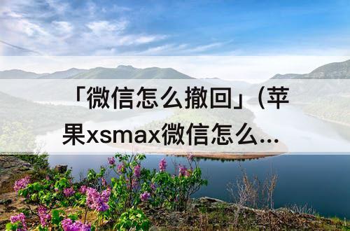 「微信怎么撤回」(苹果xsmax微信怎么撤回图片)