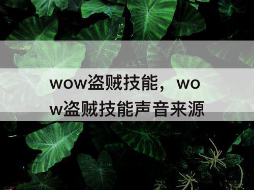 wow盗贼技能，wow盗贼技能声音来源