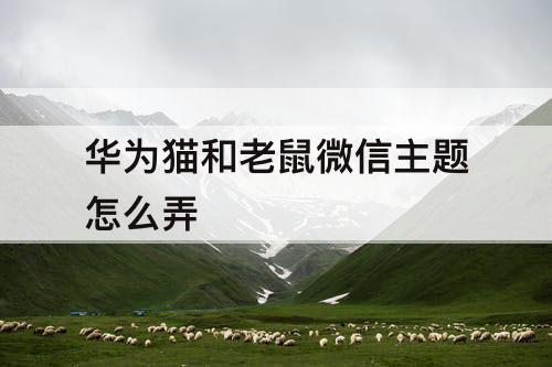 华为猫和老鼠微信主题怎么弄