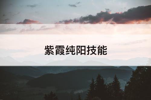 紫霞纯阳技能