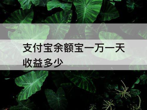 支付宝余额宝一万一天收益多少