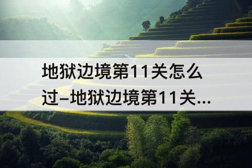 地狱边境第11关怎么过-地狱边境第11关怎么过攻略教程7230