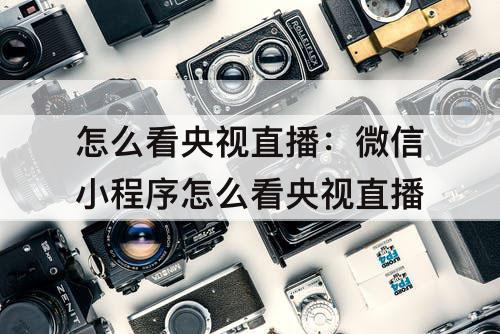 怎么看央视直播：微信小程序怎么看央视直播