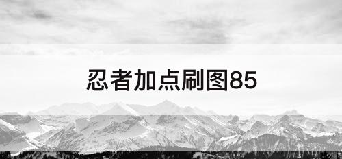 忍者加点刷图85