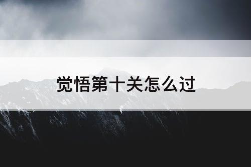 觉悟第十关怎么过