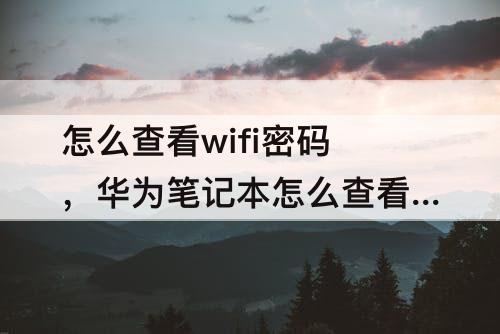 怎么查看wifi密码，华为笔记本怎么查看wifi密码