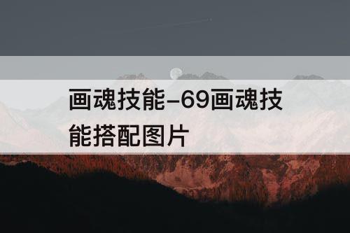 画魂技能-69画魂技能搭配图片