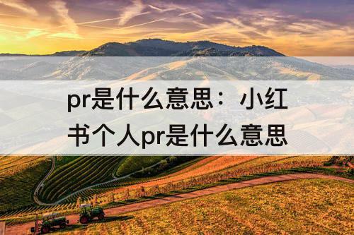 pr是什么意思：小红书个人pr是什么意思