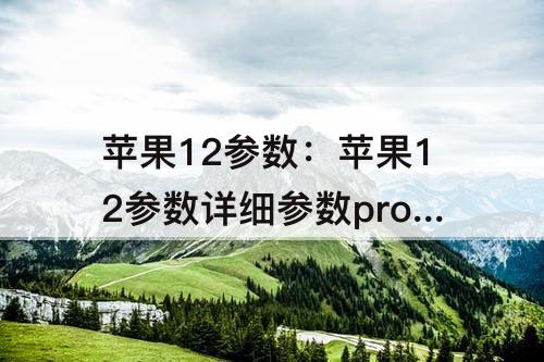 苹果12参数：苹果12参数详细参数proma
