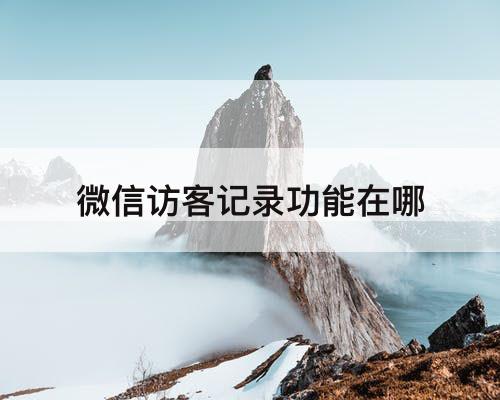 微信访客记录功能在哪