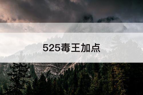 525毒王加点