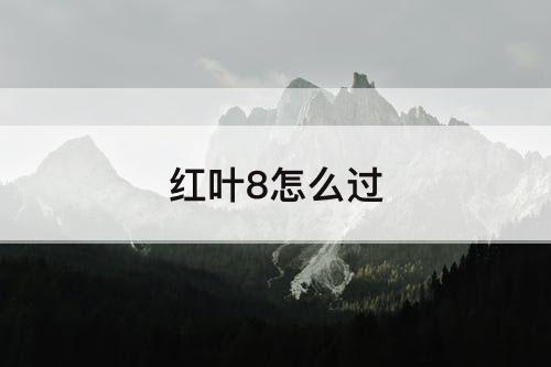 红叶8怎么过