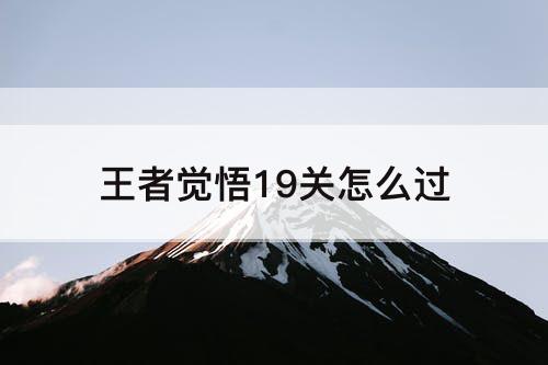 王者觉悟19关怎么过