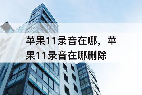 苹果11录音在哪，苹果11录音在哪删除