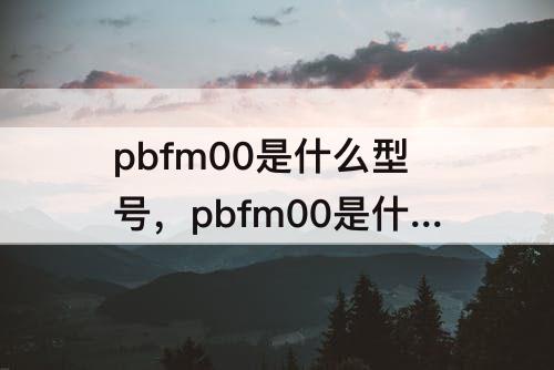 pbfm00是什么型号，pbfm00是什么型号多少钱
