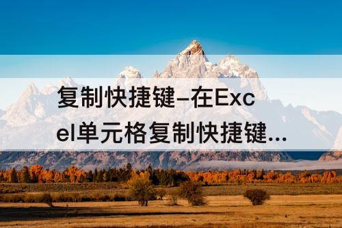 复制快捷键-在Excel单元格复制快捷键是什么