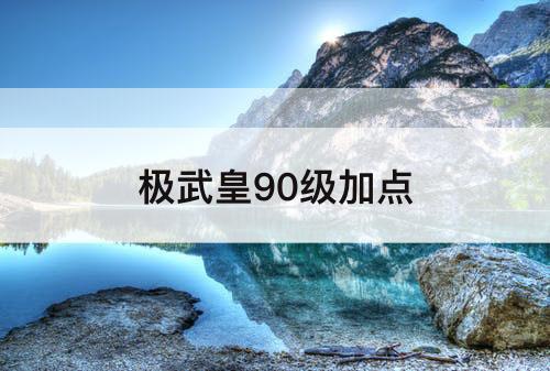 极武皇90级加点