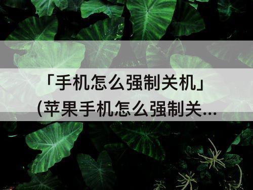 「手机怎么强制关机」(苹果手机怎么强制关机触屏不灵敏了)