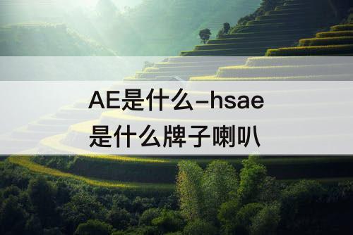 AE是什么-hsae是什么牌子喇叭