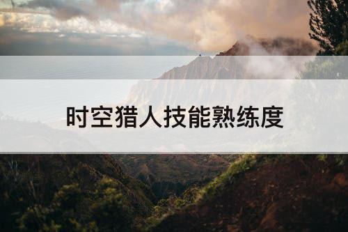 时空猎人技能熟练度