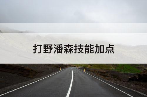 打野潘森技能加点
