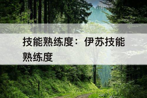 技能熟练度：伊苏技能熟练度