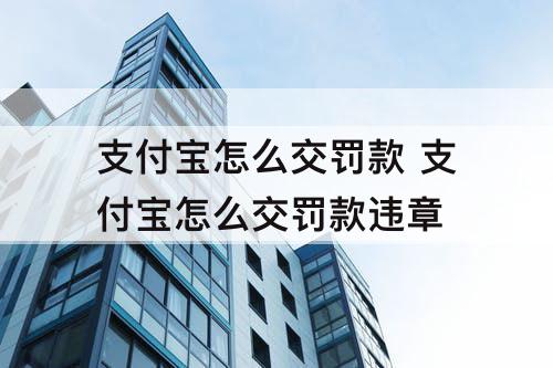 支付宝怎么交罚款 支付宝怎么交罚款违章