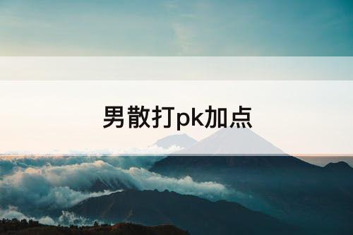 男散打pk加点