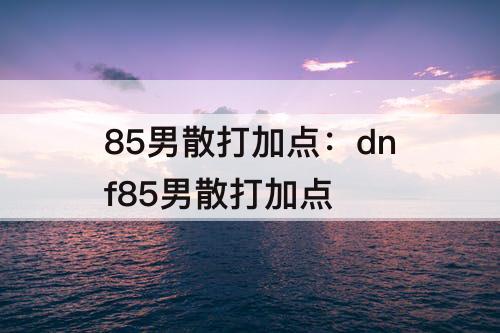 85男散打加点：dnf85男散打加点