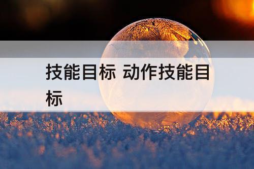 技能目标 动作技能目标
