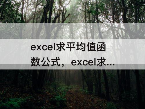 excel求平均值函数公式，excel求平均值函数公式大全