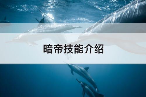 暗帝技能介绍