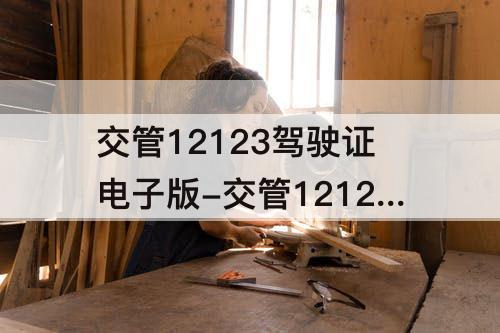 交管12123驾驶证电子版-交管12123驾驶证电子版下载中什么意思
