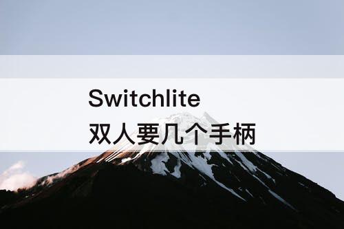 Switchlite双人要几个手柄